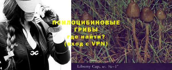 дмт Новодвинск