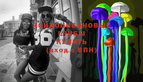 ешки Алексеевка