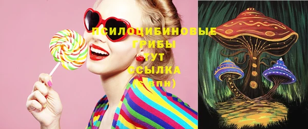 ешки Алексеевка